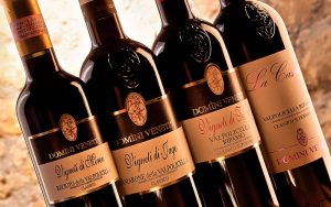 Domìni Veneti - quartetto di vini della Valpolicella